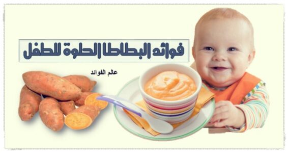 فوائد البطاطا الحلوة للطفل