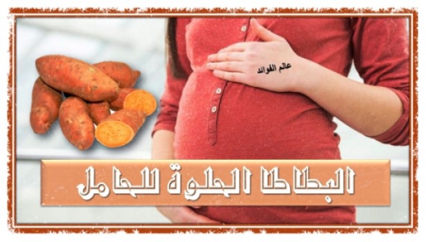 البطاطا الحلوة للحامل , 6 فوائد تقدمها البطاطا الحلوة للحامل والجنين