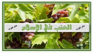 فوائد العنب في الاسلام
