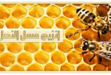 انزيمات عسل النحل