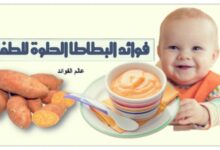 فوائد البطاطا الحلوة للطفل