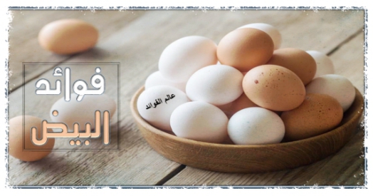 فوائد البيض , الفوائد الصحية لتناول البيض المسلوق والمقلي والنيئ