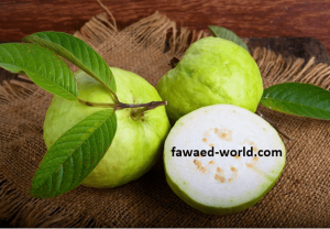 القيمة الغذائية لورق الجوافة